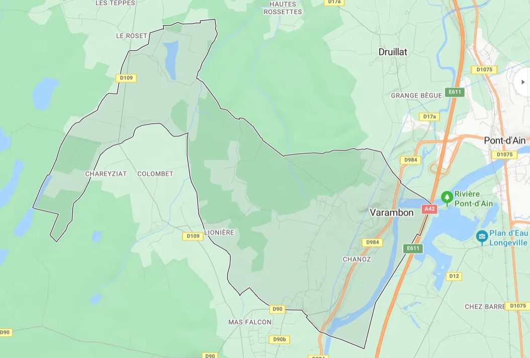 Carte de Varambon 2
